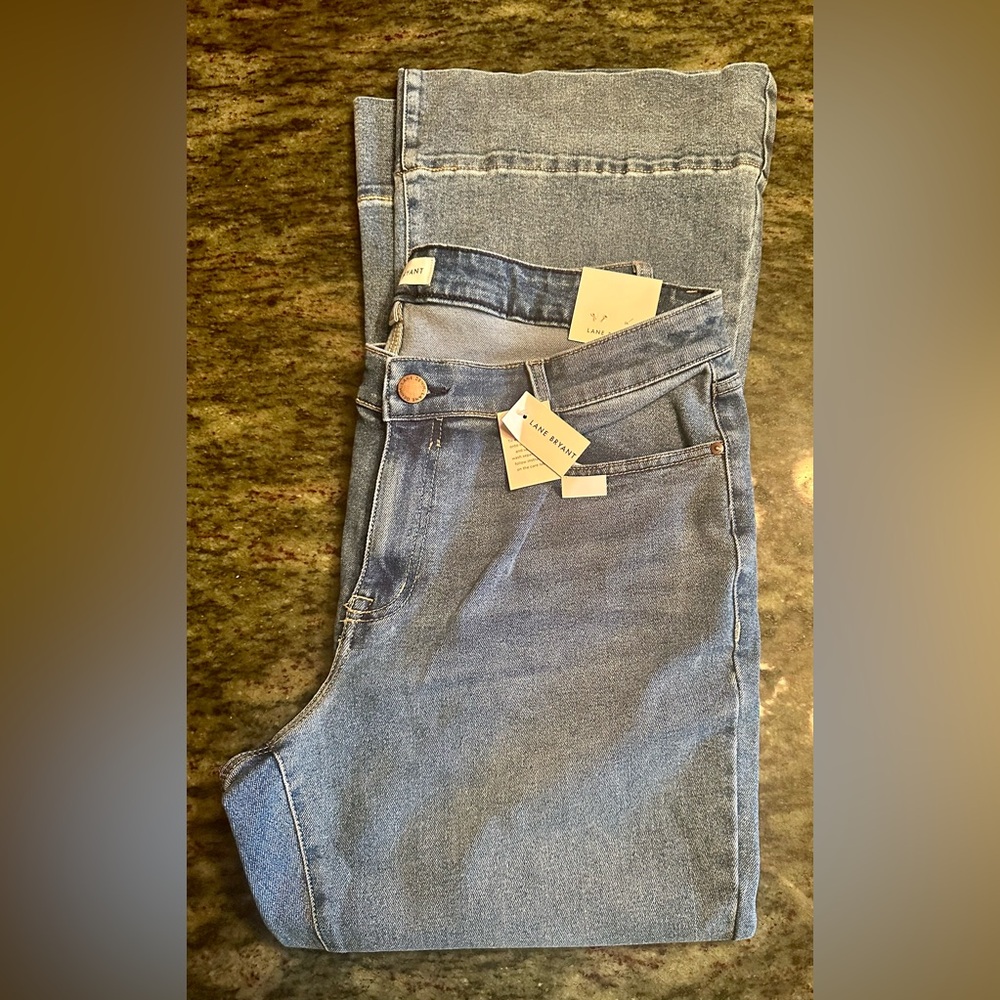 LANE BRYANT - Plus Size 
Signature Fit Flare Size18